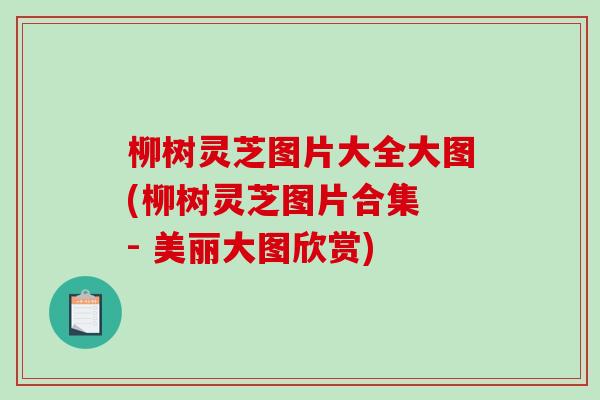 柳树灵芝图片大全大图(柳树灵芝图片合集 - 美丽大图欣赏)