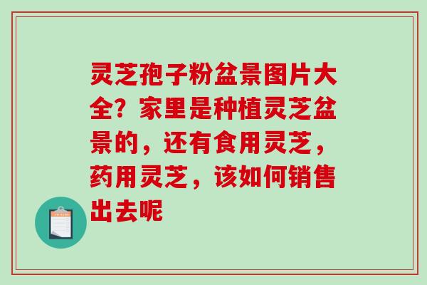 灵芝孢子粉盆景图片大全？家里是种植灵芝盆景的，还有食用灵芝，药用灵芝，该如何销售出去呢