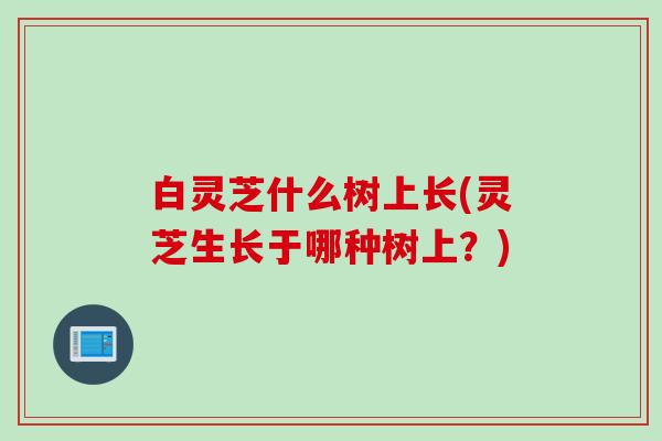 白灵芝什么树上长(灵芝生长于哪种树上？)