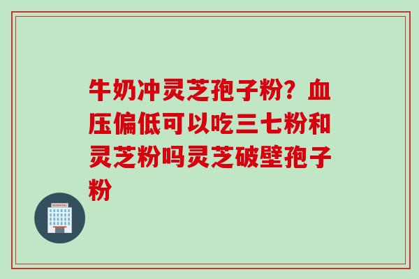 牛奶冲灵芝孢子粉？血压偏低可以吃三七粉和灵芝粉吗灵芝破壁孢子粉