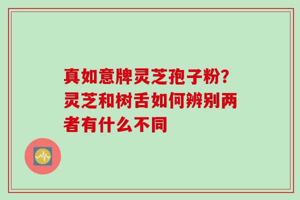 真如意牌灵芝孢子粉？灵芝和树舌如何辨别两者有什么不同
