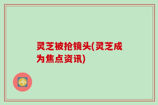 灵芝被抢镜头(灵芝成为焦点资讯)