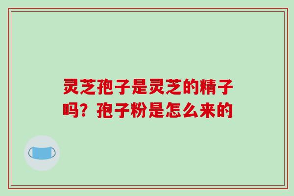灵芝孢子是灵芝的精子吗？孢子粉是怎么来的