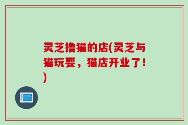 灵芝撸猫的店(灵芝与猫玩耍，猫店开业了！)