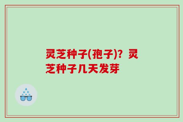 灵芝种子(孢子)？灵芝种子几天发芽