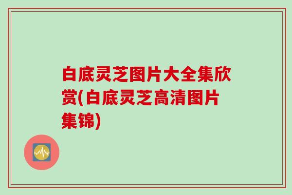 白底灵芝图片大全集欣赏(白底灵芝高清图片集锦)