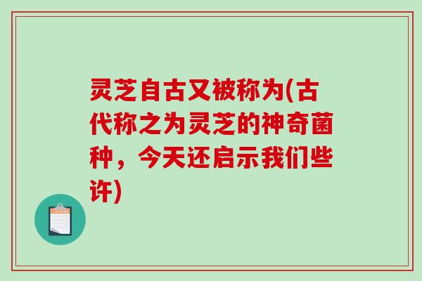 灵芝自古又被称为(古代称之为灵芝的神奇菌种，今天还启示我们些许)