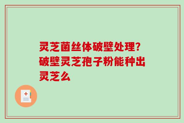 灵芝菌丝体破壁处理？破壁灵芝孢子粉能种出灵芝么