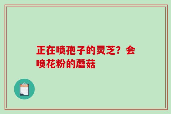 正在喷孢子的灵芝？会喷花粉的蘑菇