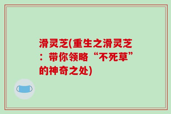 滑灵芝(重生之滑灵芝：带你领略“不死草”的神奇之处)