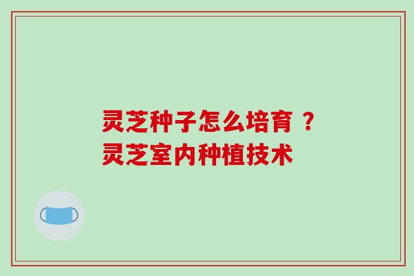 灵芝种子怎么培育 ？灵芝室内种植技术