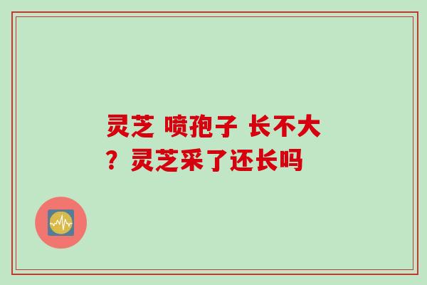 灵芝 喷孢子 长不大？灵芝采了还长吗