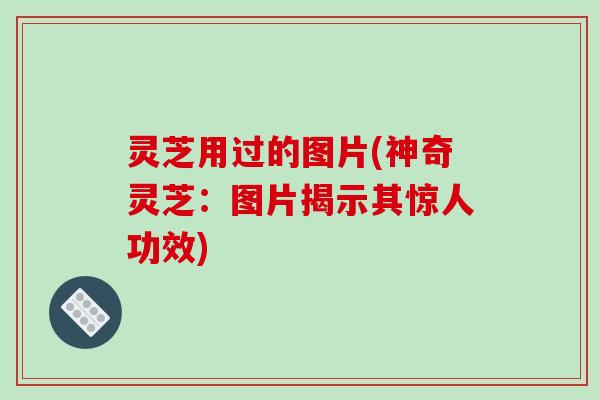 灵芝用过的图片(神奇灵芝：图片揭示其惊人功效)