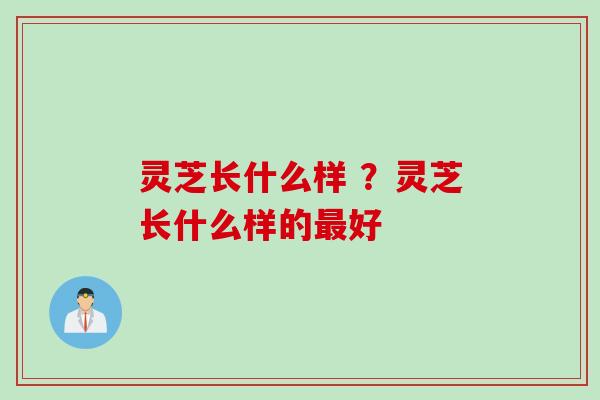 灵芝长什么样 ？灵芝长什么样的好