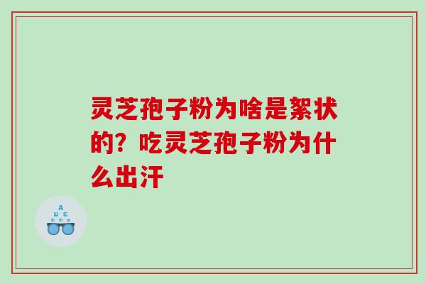 灵芝孢子粉为啥是絮状的？吃灵芝孢子粉为什么出汗