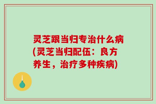 灵芝跟当归专什么(灵芝当归配伍：良方养生，多种)