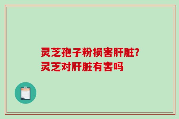 灵芝孢子粉损害肝脏？灵芝对肝脏有害吗