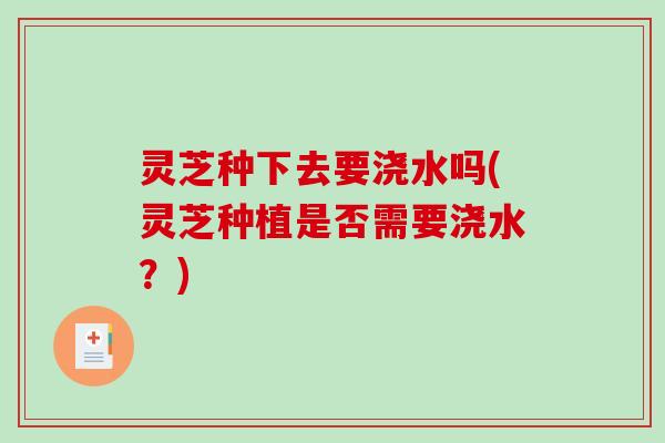 灵芝种下去要浇水吗(灵芝种植是否需要浇水？)