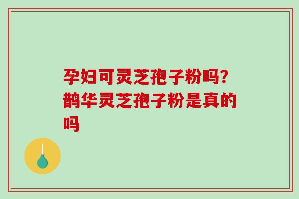 孕妇可灵芝孢子粉吗？鹊华灵芝孢子粉是真的吗