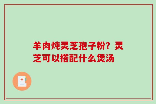 羊肉炖灵芝孢子粉？灵芝可以搭配什么煲汤
