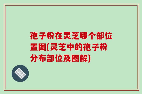 孢子粉在灵芝哪个部位置图(灵芝中的孢子粉分布部位及图解)