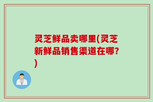 灵芝鲜品卖哪里(灵芝新鲜品销售渠道在哪？)