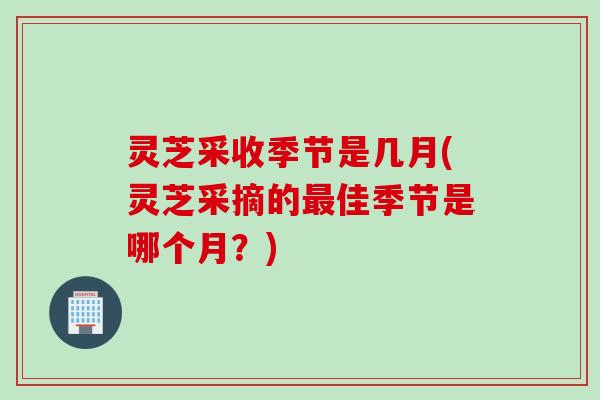灵芝采收季节是几月(灵芝采摘的佳季节是哪个月？)