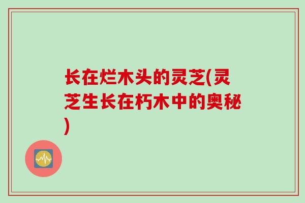 长在烂木头的灵芝(灵芝生长在朽木中的奥秘)