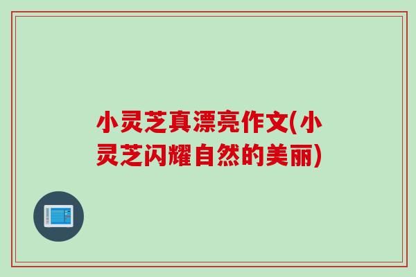 小灵芝真漂亮作文(小灵芝闪耀自然的美丽)