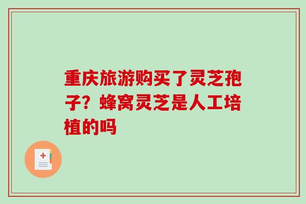 重庆旅游购买了灵芝孢子？蜂窝灵芝是人工培植的吗