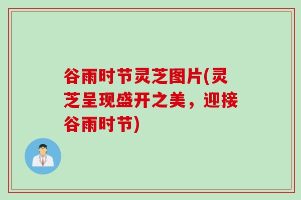谷雨时节灵芝图片(灵芝呈现盛开之美，迎接谷雨时节)