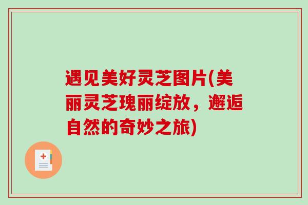 遇见美好灵芝图片(美丽灵芝瑰丽绽放，邂逅自然的奇妙之旅)