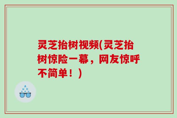 灵芝抬树视频(灵芝抬树惊险一幕，网友惊呼不简单！)