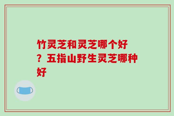 竹灵芝和灵芝哪个好 ？五指山野生灵芝哪种好