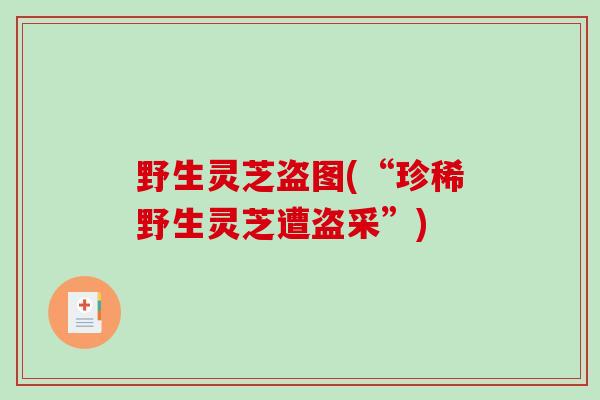 野生灵芝盗图(“珍稀野生灵芝遭盗采”)