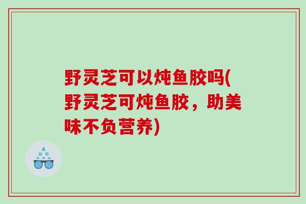 野灵芝可以炖鱼胶吗(野灵芝可炖鱼胶，助美味不负营养)