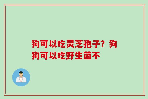 狗可以吃灵芝孢子？狗狗可以吃野生菌不