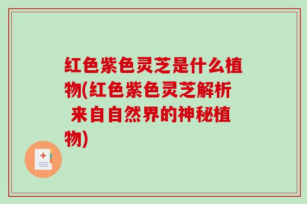 红色紫色灵芝是什么植物(红色紫色灵芝解析 来自自然界的神秘植物)