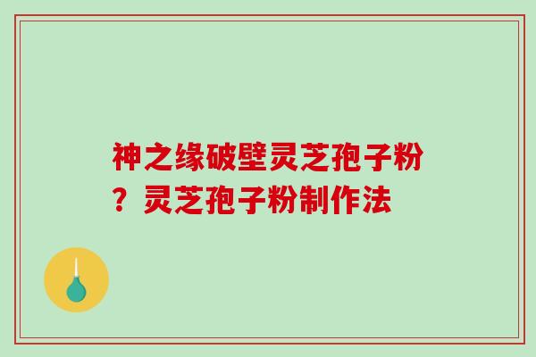 神之缘破壁灵芝孢子粉？灵芝孢子粉制作法