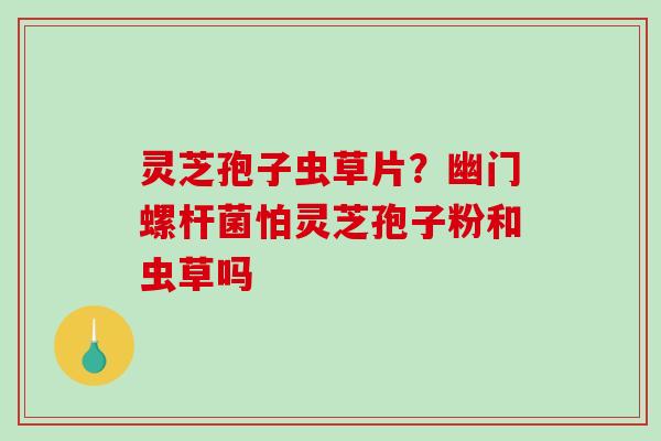 灵芝孢子虫草片？幽门螺杆菌怕灵芝孢子粉和虫草吗
