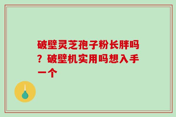 破壁灵芝孢子粉长胖吗？破壁机实用吗想入手一个