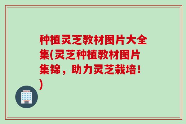 种植灵芝教材图片大全集(灵芝种植教材图片集锦，助力灵芝栽培！)