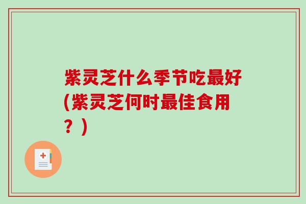 紫灵芝什么季节吃最好(紫灵芝何时最佳食用？)