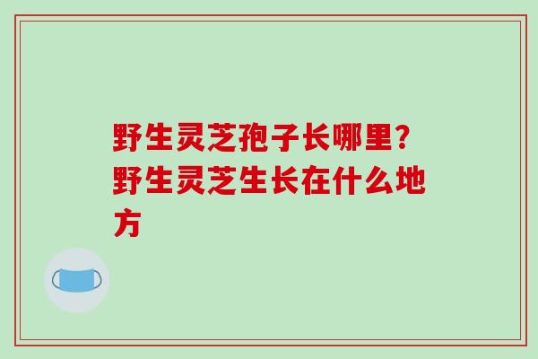 野生灵芝孢子长哪里？野生灵芝生长在什么地方