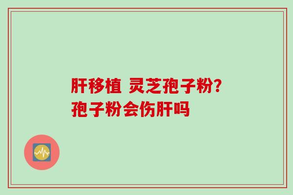 肝移植 灵芝孢子粉？孢子粉会伤肝吗