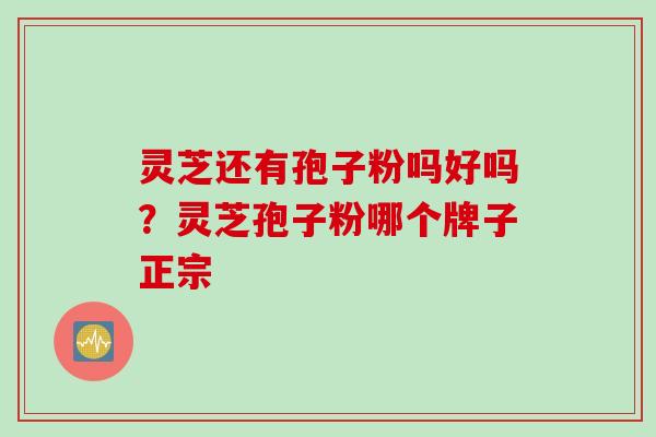 灵芝还有孢子粉吗好吗？灵芝孢子粉哪个牌子正宗