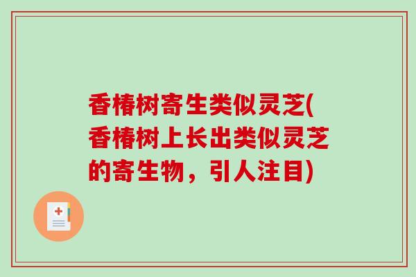 香椿树寄生类似灵芝(香椿树上长出类似灵芝的寄生物,引人注目) 香椿树寄生类似灵芝(香椿树上长出类似灵芝的寄生物,引人注目)