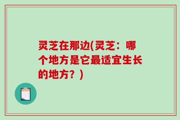 灵芝在那边(灵芝：哪个地方是它最适宜生长的地方？)