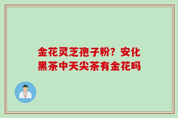 金花灵芝孢子粉？安化黑茶中天尖茶有金花吗