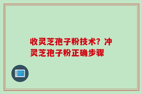 收灵芝孢子粉技术？冲灵芝孢子粉正确步骤